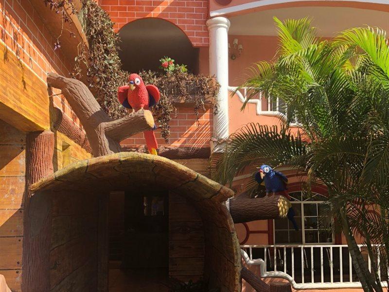 Hotel Residencia Del Sol Гватемала Экстерьер фото